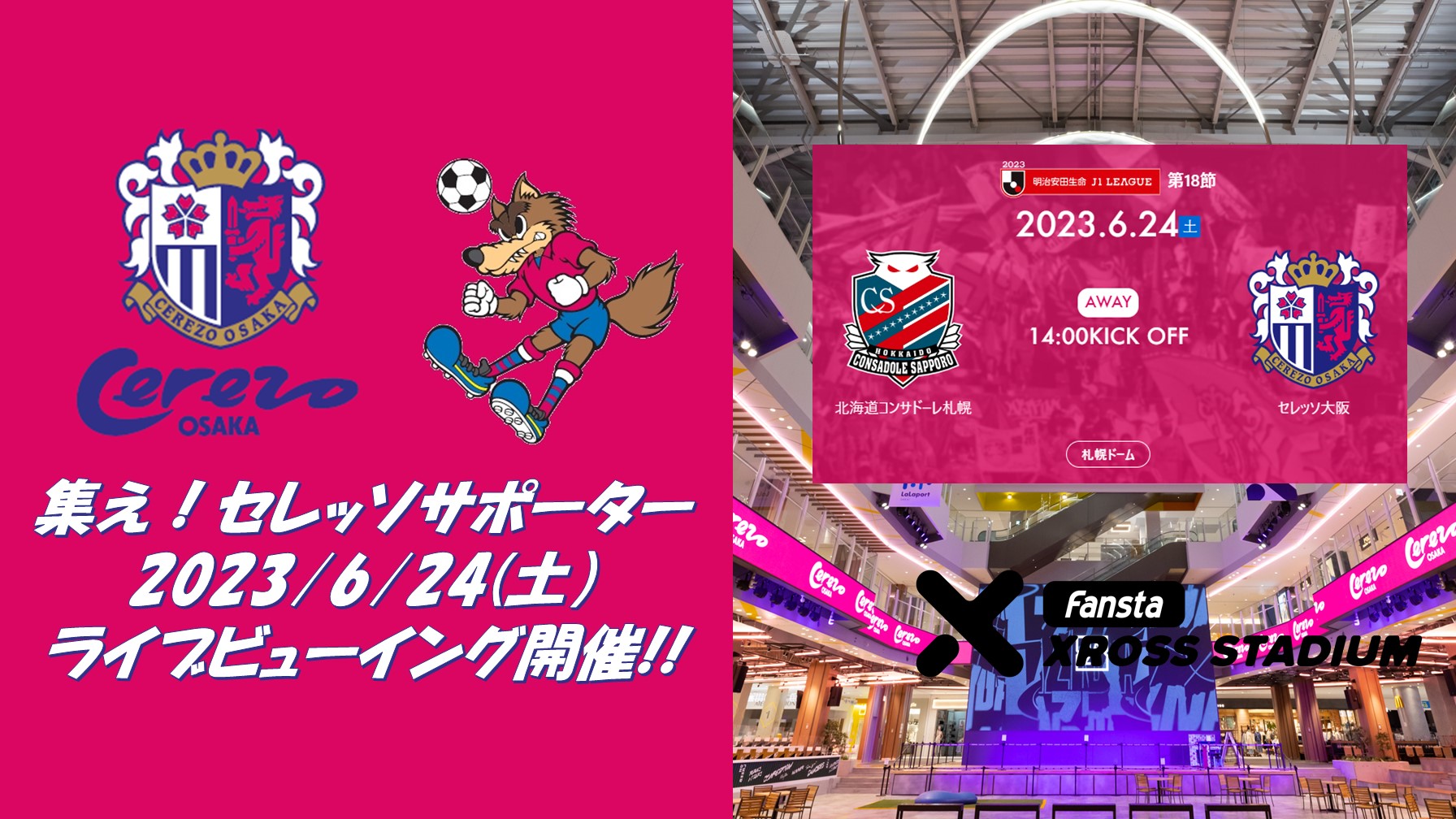 ららぽーと堺店　セレッソ大阪スペシャルDAY